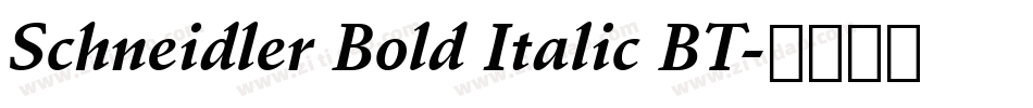 Schneidler Bold Italic BT字体转换